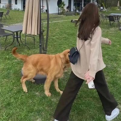 公主与哥布林